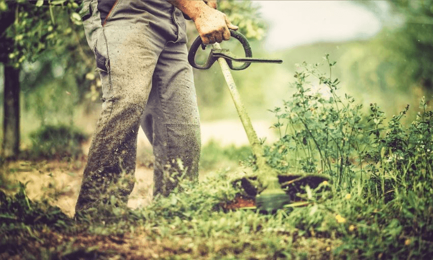 Image: Egon69/iStock/Getty 
