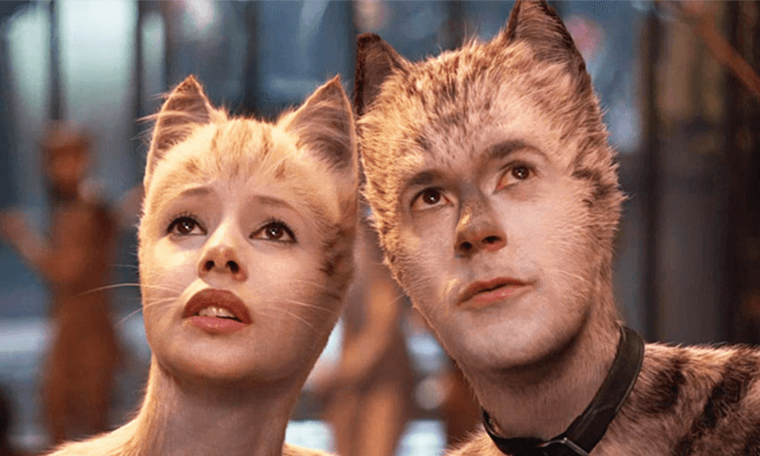 cats_feature_IMAGE_001