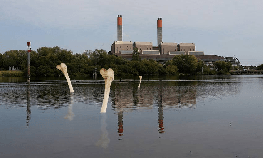 The secret search for giants’ bones that has iwi and archaeologists worried