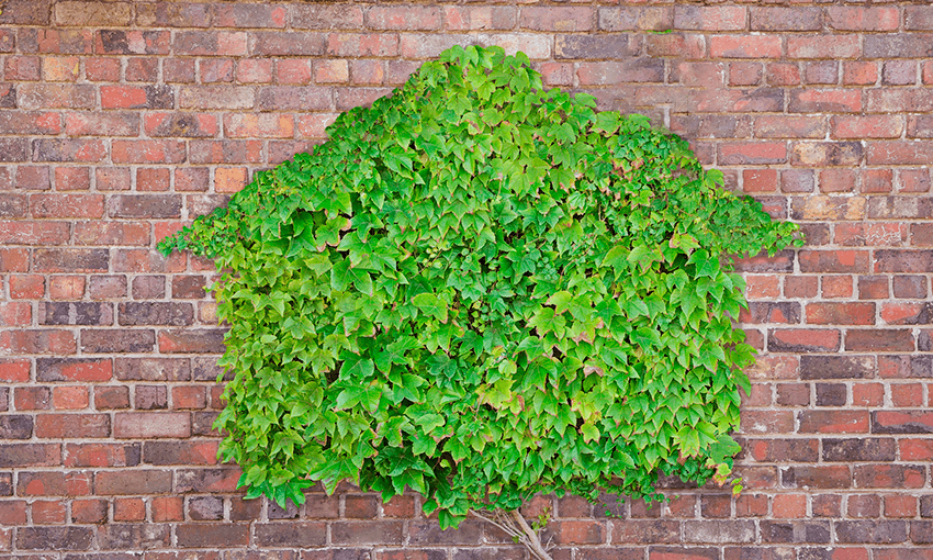 One of NZ’s largest retail groups, The Warehouse Group went carbon neutral one year ago. Photo: Getty Images 

