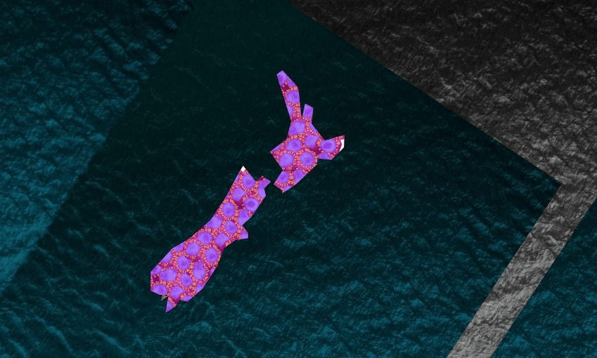 Covid-19 is going nowhere. Here’s what every New Zealander can do