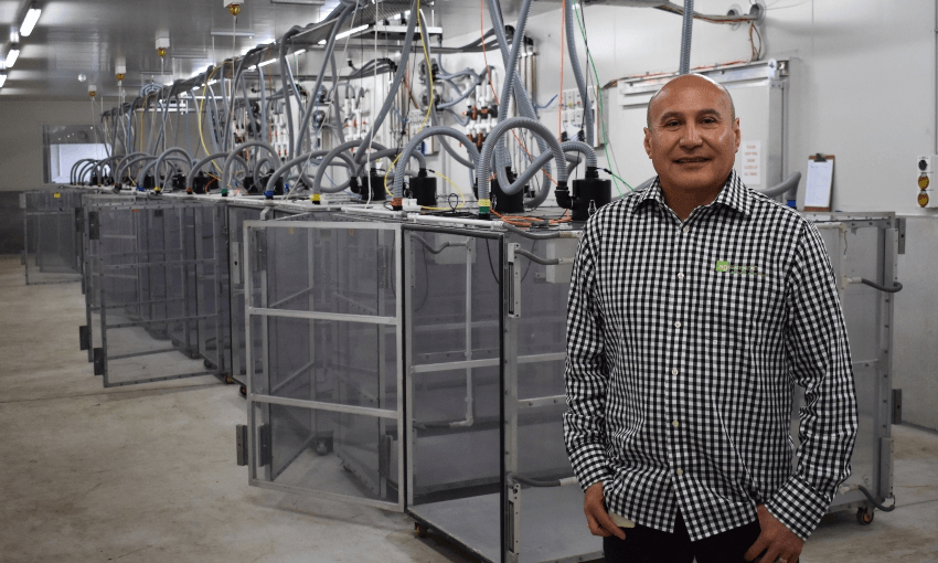 Dr David Pacheco in front of a line of respiration chambers at the Palmerston North AgReserach campus (Alex Braae)