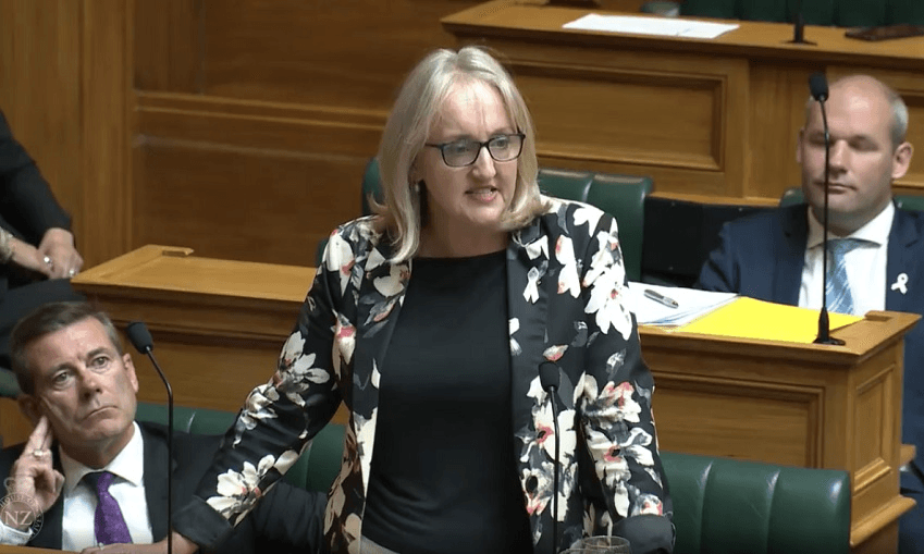 Amy Adams speaking in parliament (Photo: Parliament TV) 
