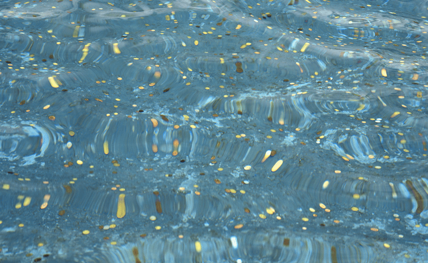 Coins in the Trevi Fountain, Rome, Italy. Photo: Getty Images. 
