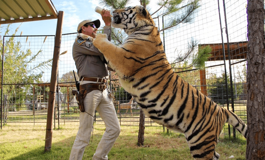 The Tiger King and I after show revisits the monster hit, but just reveals the hollowness of its success (Photo: Netflix) 
