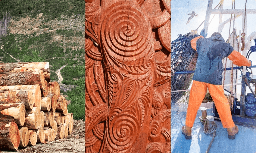 The Māori economy continues to grow, but what is it and why do we care? 
