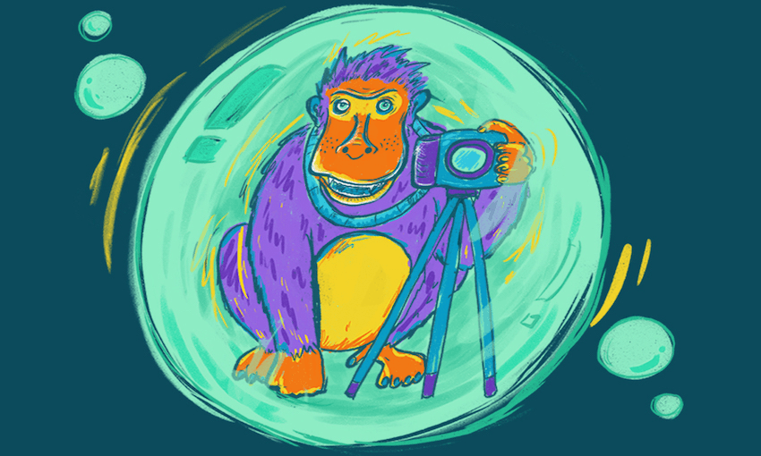 New Zealand’s favourite film-making competition is back! This time with a self-isolated twist. 
