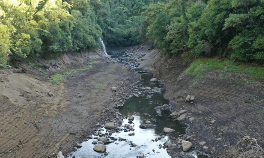 Extremely low water levels in the creek leading into the Upper Nihotupu Dam in Auckland (Photo: Watercare) 
