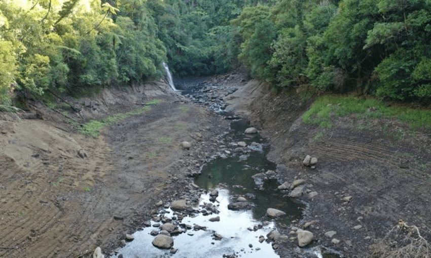 Extremely low water levels in the creek leading into the Upper Nihotupu Dam in Auckland (Photo: Watercare)