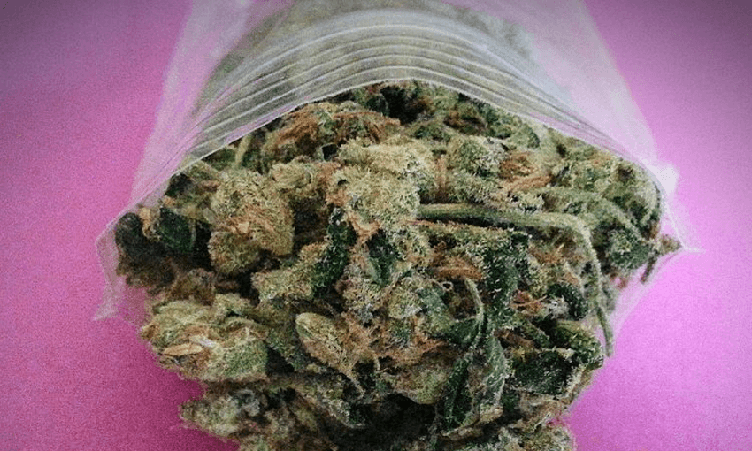 Cannabis, the most frequently used illegal drug, is included on the list of four key drugs a saliva test will detect at the road side  (Photo: Getty Images) 
