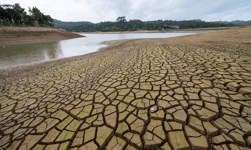 A dry Lower Nihotupu Dam in the Waitākere Ranges 
