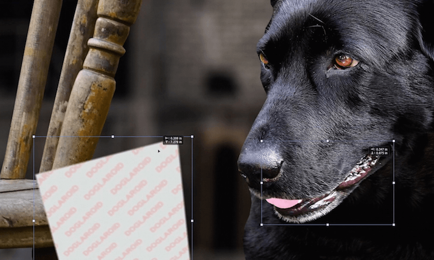 A screenshot from Duck 3D: 2D Busta’s, Flat Earth Globalist’s entry in VF48Hours, and one of our selections to showcase. (Photo: Supplied) 
