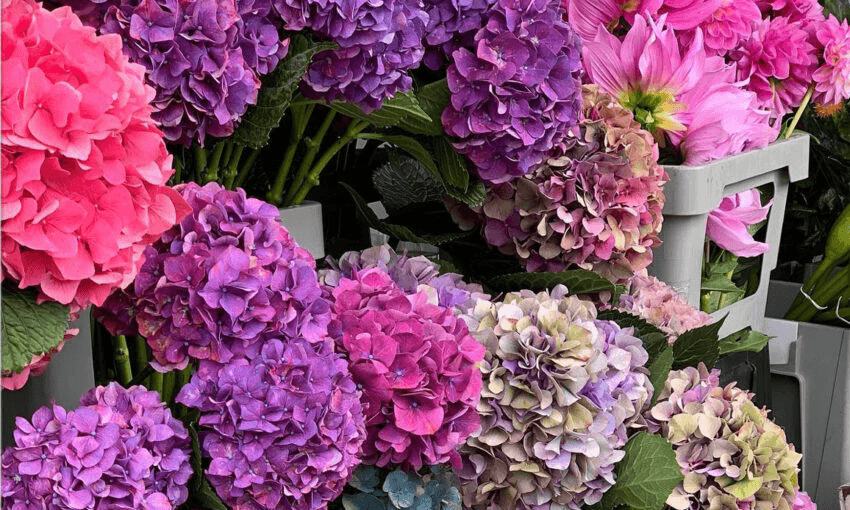 big bunches of flowers