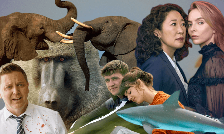 Ever wish Normal People would have a bit more whale action? We’ve got your answer. 
