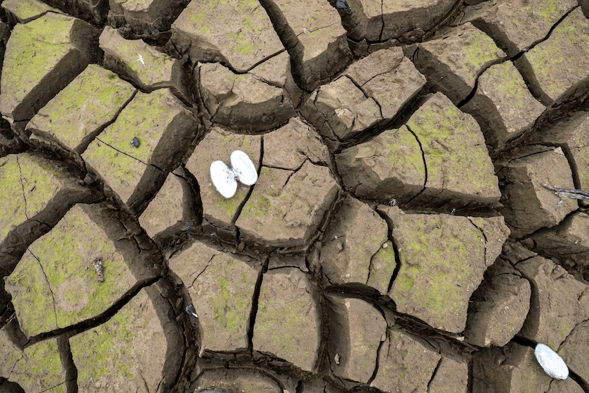 The effects of the drought on the Lower Nihotupu Dam in the Waitākere Ranges (Photo: Supplied) 
