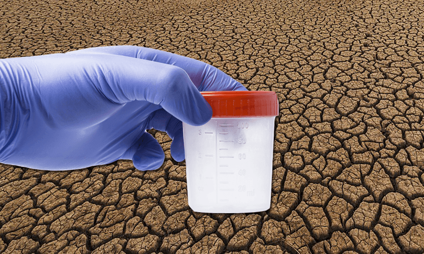 New Zealand is experiencing a chronic jizz shortage 
