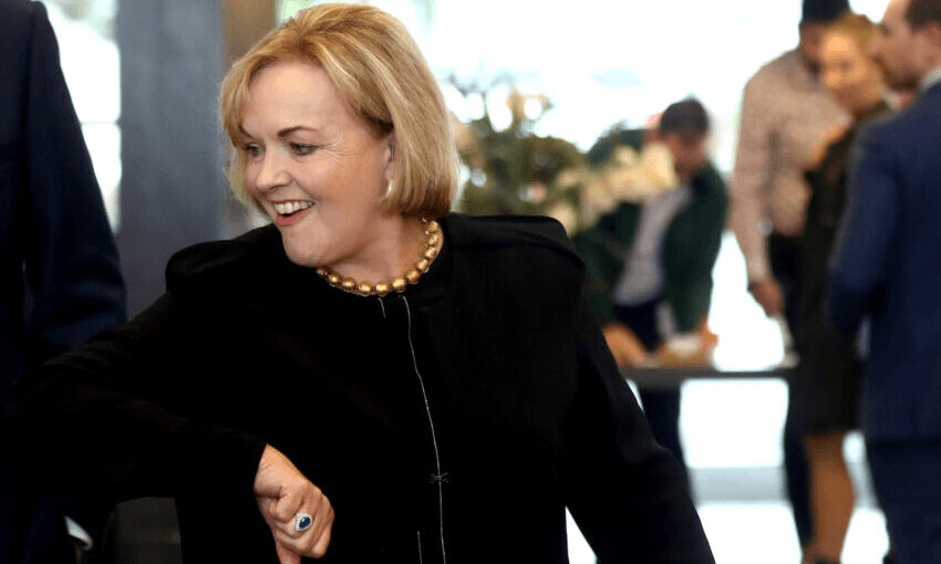 Judith Collins (Photo: Hannah Peters/Getty Images) 
