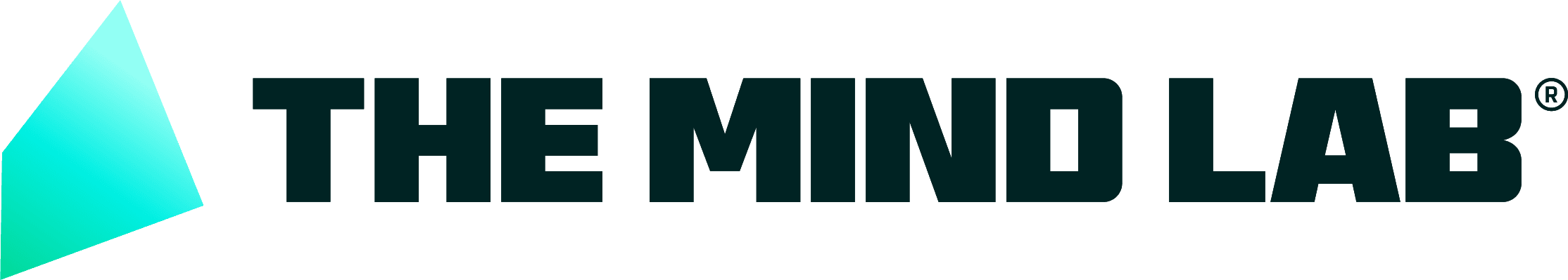 The Mind Lab