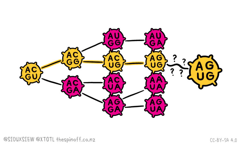 Covid-19 Genomes Header
