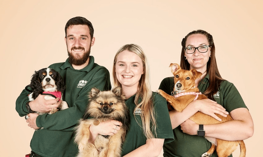 The Dog House gives people a match made in heaven – between a human and the dog of their dreams. (Photo: TVNZ)