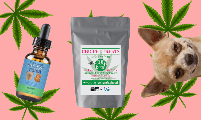 (Image: The Spinoff)