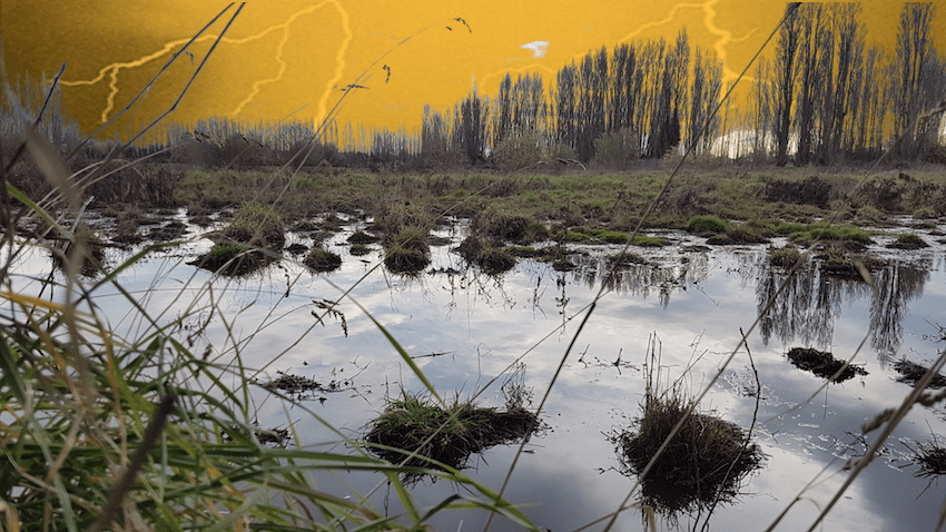 Cranford Basin (Photo: Simon Britten/The Spinoff) 
