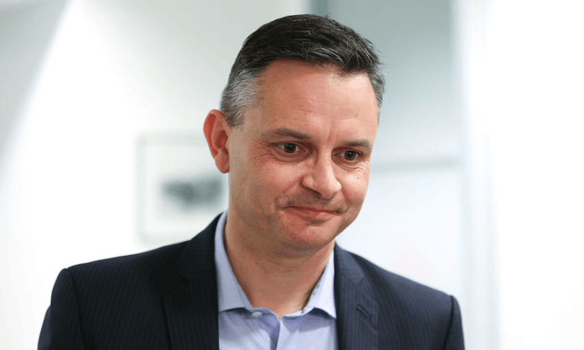 Green Party co-leader James Shaw October 13, 2017 (Photo: Hagen Hopkins/Getty Images) 
