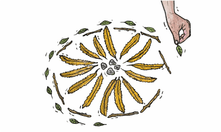 (Illustration: Pippa Keel) 
