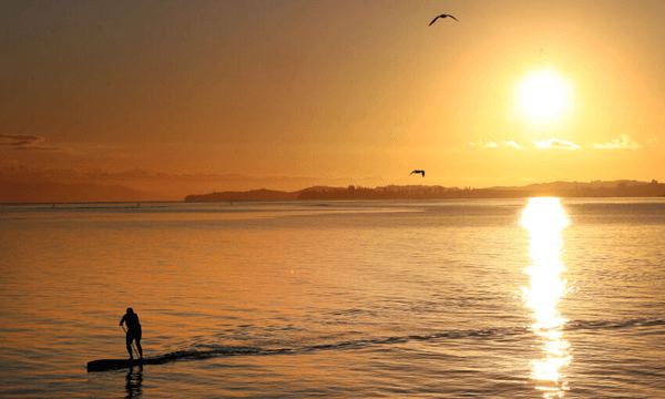 The Waitemata Harbour at level three. Photo by Fiona Goodall/Getty Images 
