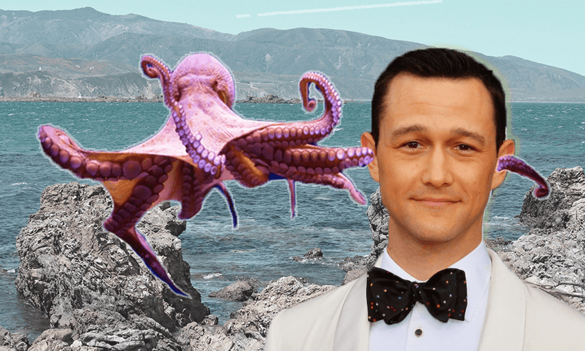 Image: Getty Images/Alice Webb-Liddall 
