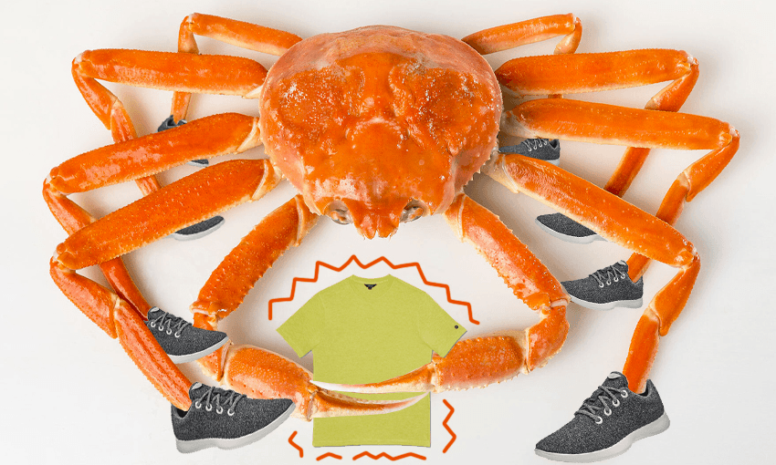 (Image: Tina Tiller) 
