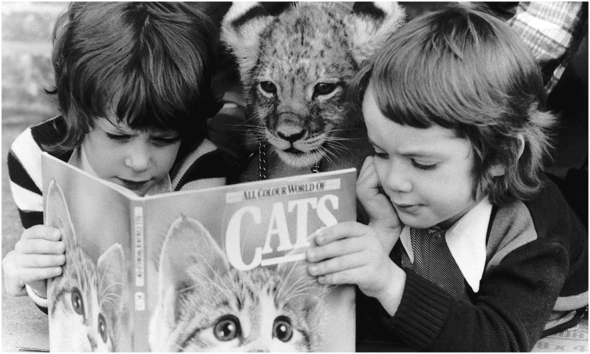 January 1, 1980, reading (Photo: Mirrorpix via Getty) 
