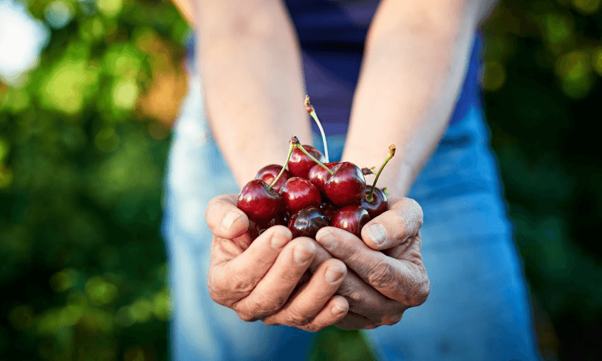 (Photo: Getty Images)