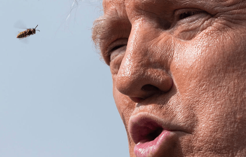 A bee flies near US President Donald Trump as he speaks to reporters before boarding Air Force One at Andrews Air Force Base October 27, 2020, in Maryland. (Photo: BRENDAN SMIALOWSKI/AFP via Getty Images) 
