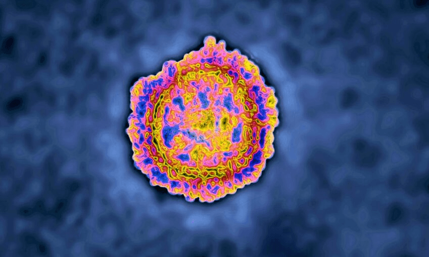A coronavirus as depicted in a transmission electron microscopy image. (Photo by: CAVALLINI JAMES/BSIP/Education Images/Universal Images Group via Getty Images) 
