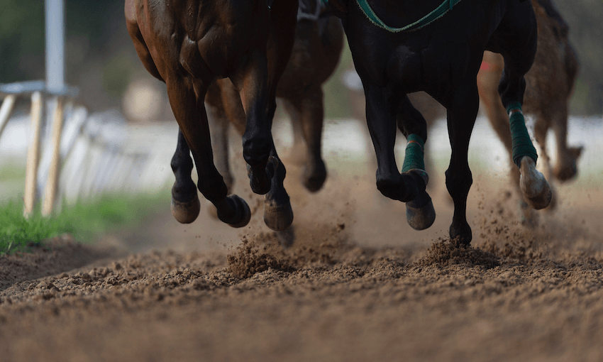 legs and hooves of horses racing