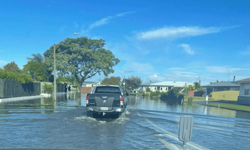 A car trying to get through flooding in Napier (Supplied, K-Ci Williams) 
