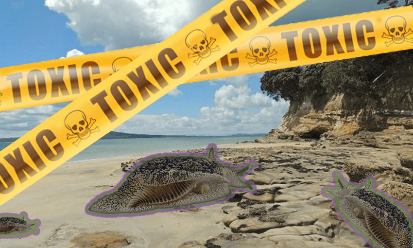 Image: Alice Webb-Liddall