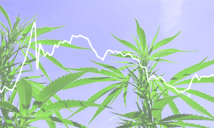 Medicinal cannabis stocks took a dive after the cannabis referendum (Photo: Lazingbee/iStock via Getty) 
