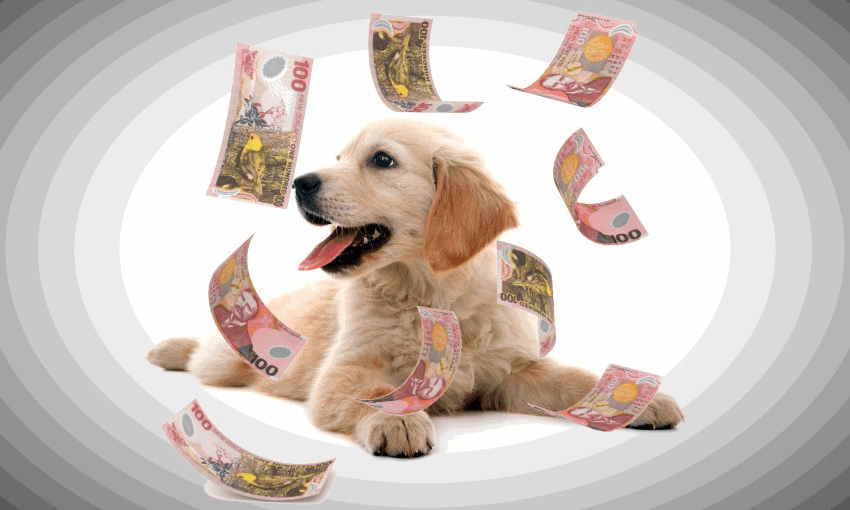 (Photo: Michael Andrew)