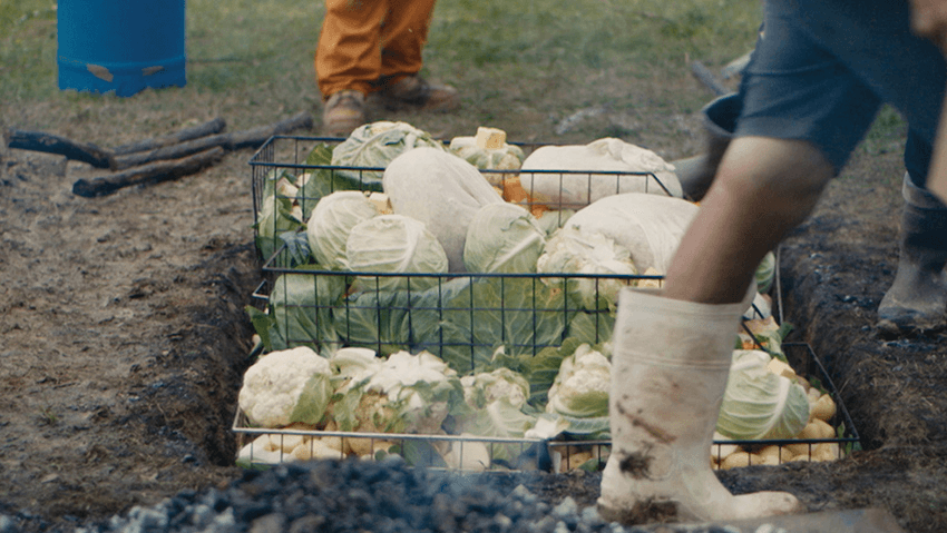 Common Ground: behind the scenes of a New Zealand hāngī