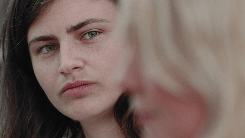 Three Ticks Chlöe: how Auckland Central turned green