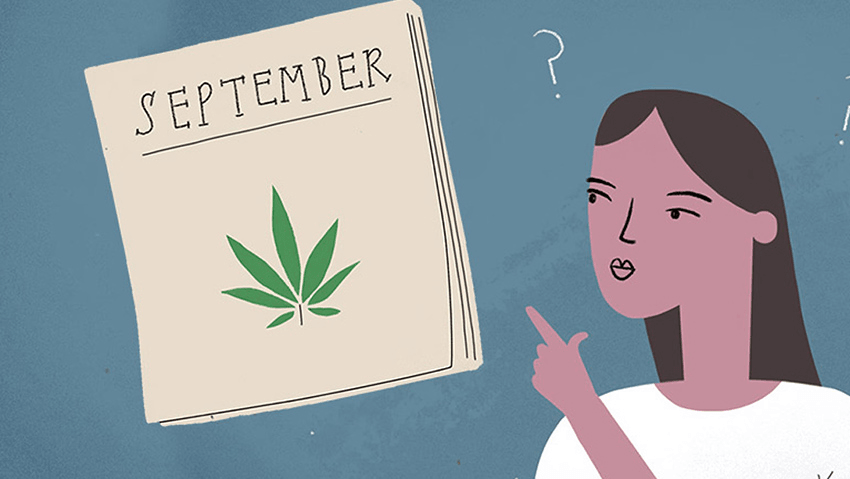 Weed myths busted, green fairies and what the cannabis referendum means for women