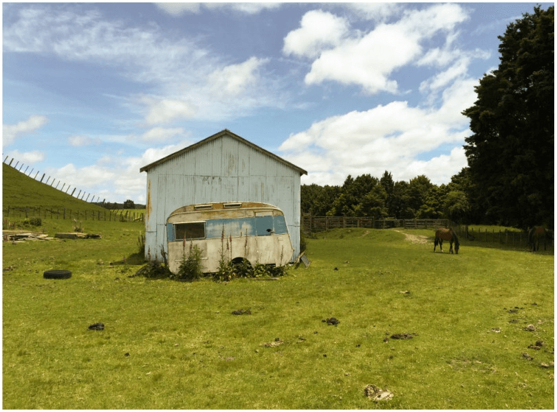 Caravan in a paddock, horses grazing, foxgloves.