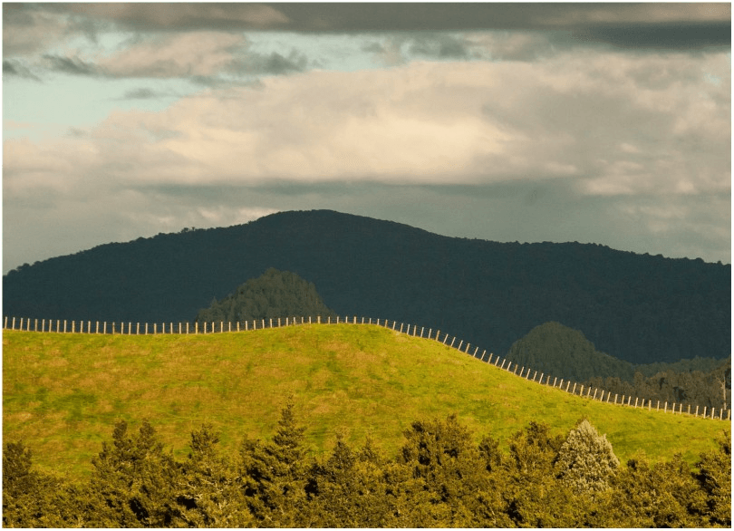 Landscape photograph of a fenceline following the top of a hill. 