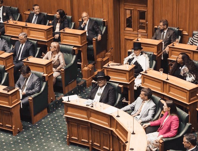 Debbie Ngarewa-Packer and Rawiri Waititi wear their hats proudly in the house (Photo: Māori Party Facebook) 
