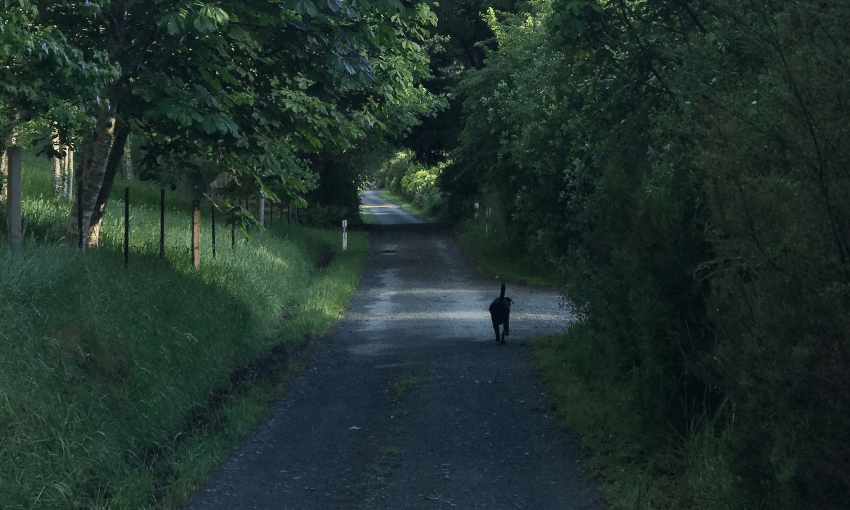 Dusty trails. Photo: Michelle Langstone