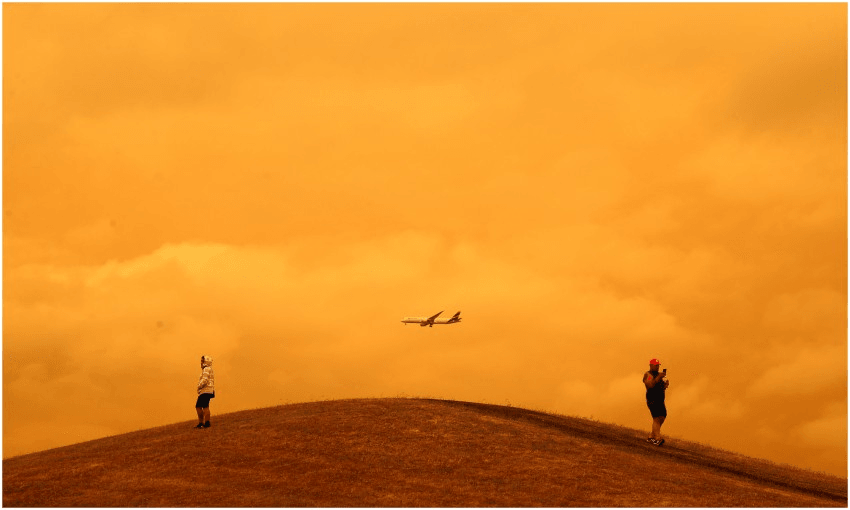 January 5, 2020, Totara Park in Auckland (Photo: Phil Walter via Getty Images) 
