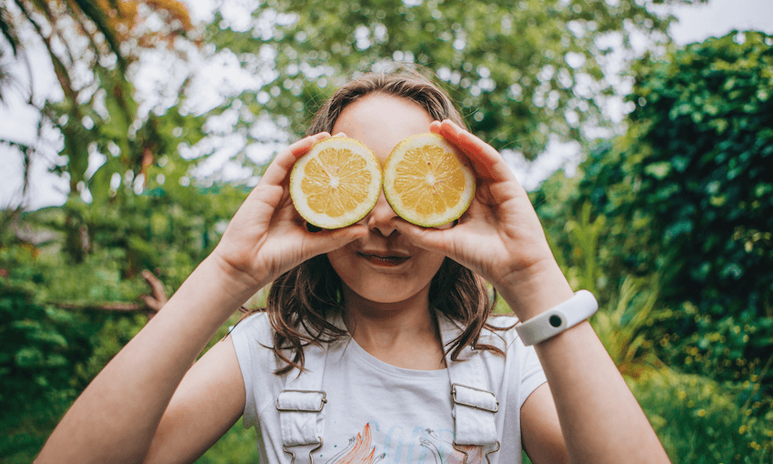 Why is it so hard to find lemons right now? | The Spinoff