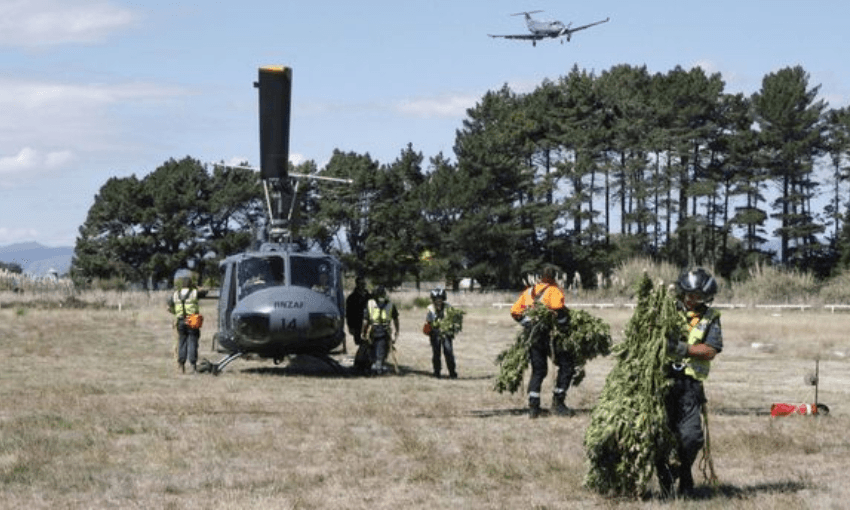 A chopper weed haul. Photo: NZ Police 
